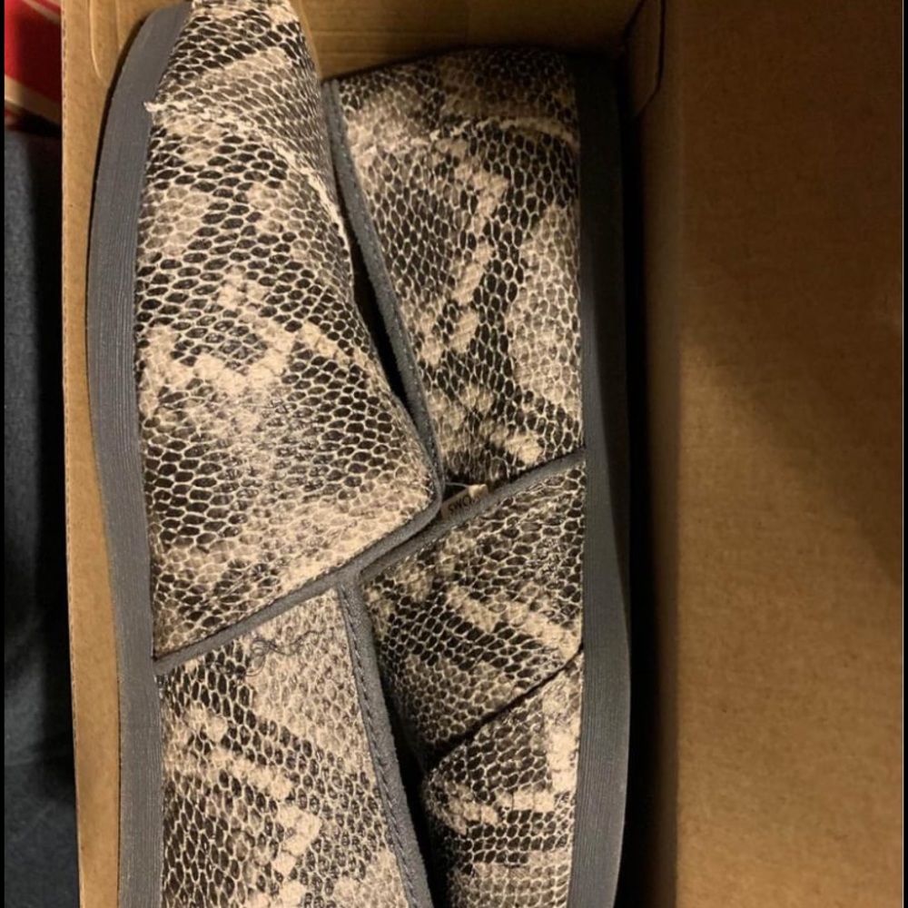 New Women’s Toms size 8 - Picture 1 of 2